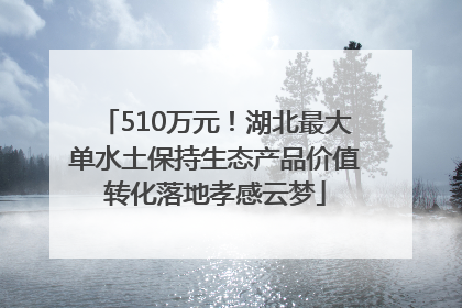 510万元！湖北最大单水土保持生态产品价值转化落地孝感云梦