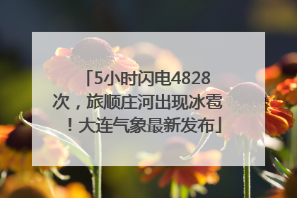 5小时闪电4828次，旅顺庄河出现冰雹！大连气象最新发布