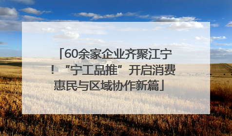 60余家企业齐聚江宁！“宁工品推”开启消费惠民与区域协作新篇