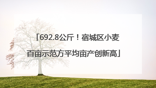 692.8公斤！宿城区小麦百亩示范方平均亩产创新高