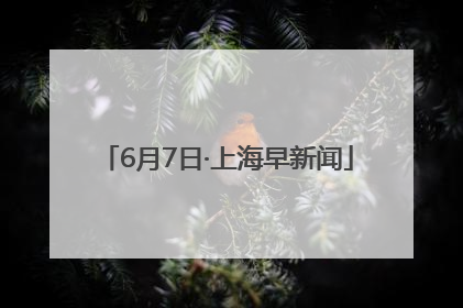 6月7日·上海早新闻