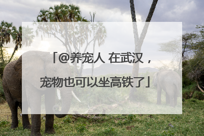 @养宠人 在武汉，宠物也可以坐高铁了