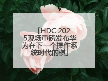 HDC 2025现场重磅发布华为在下一个操作系统时代的棋