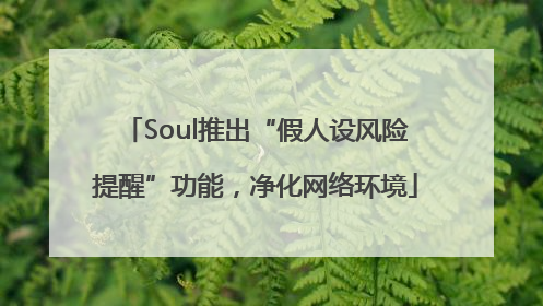 Soul推出“假人设风险提醒”功能，净化网络环境